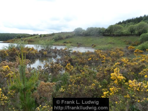 Lough Nasool